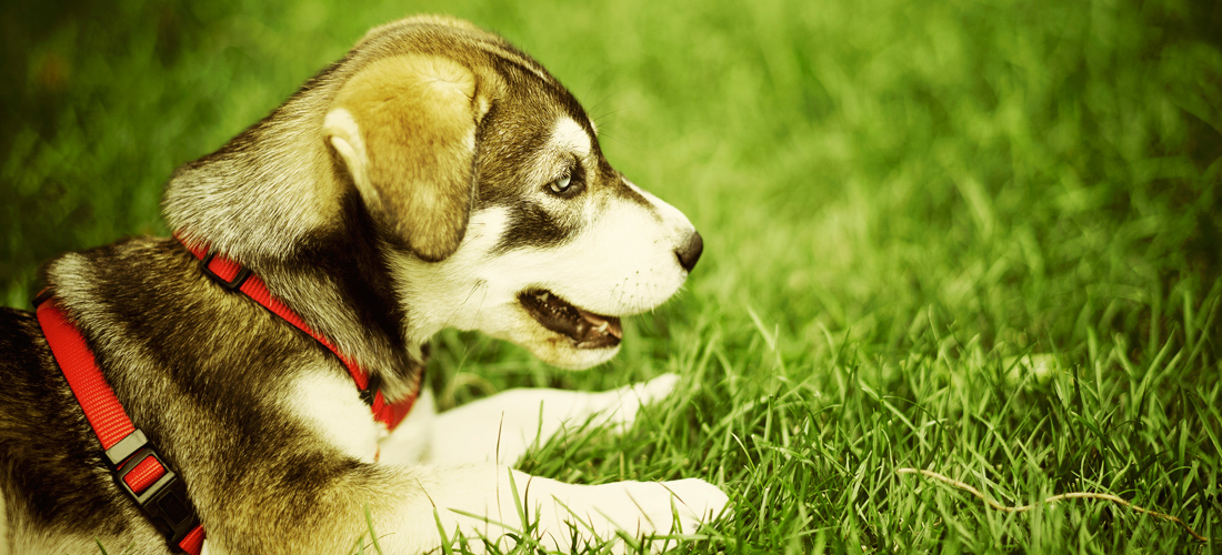 永久授权不过期的网络ddos监测分析工具