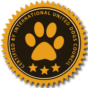 批发价格的DDOS平台