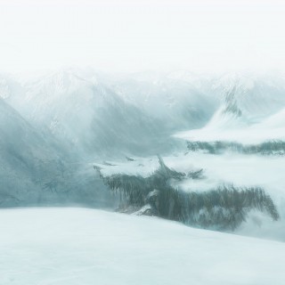 无毒安全放心的cc网页端